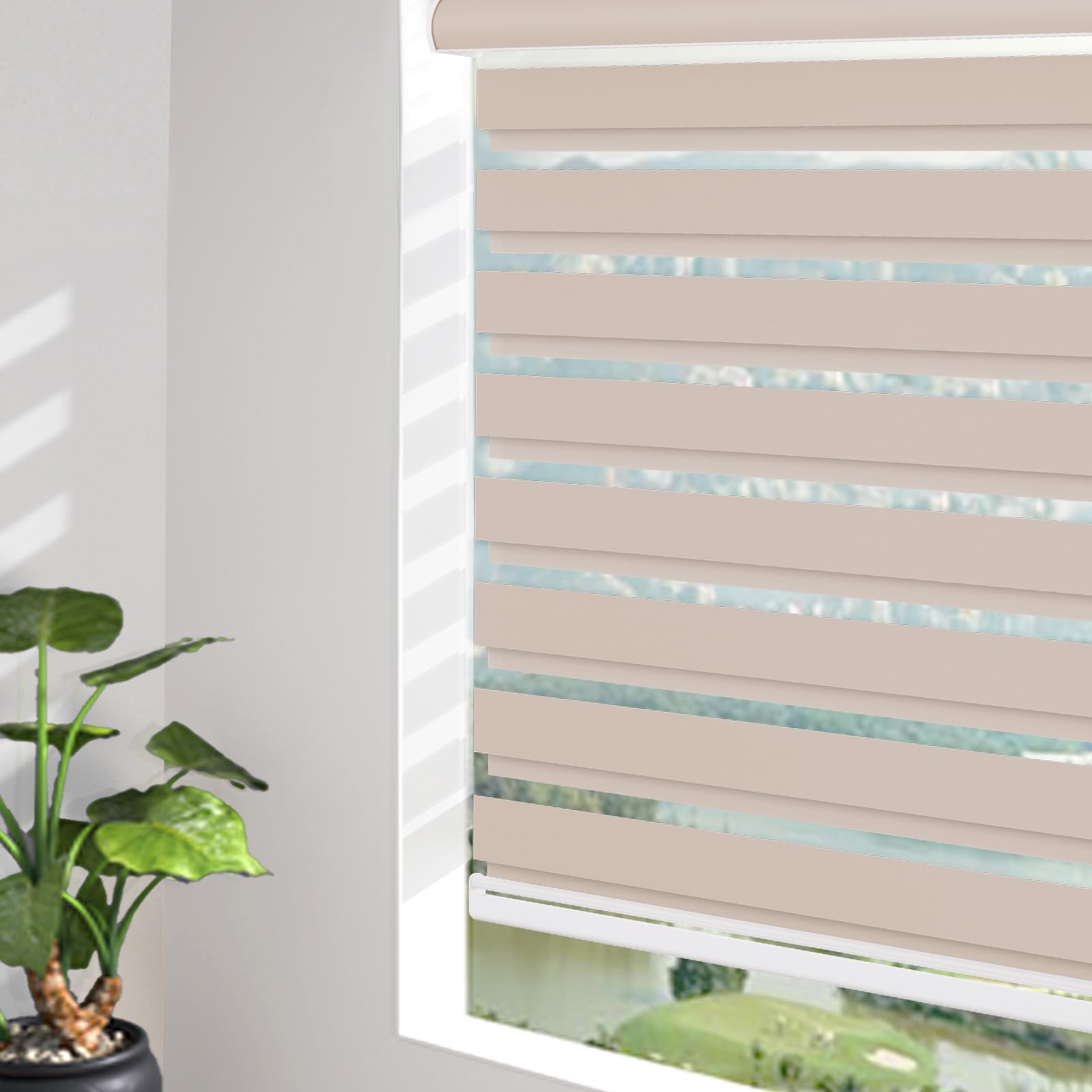 Cordless Zebra Blackout Roller Shades