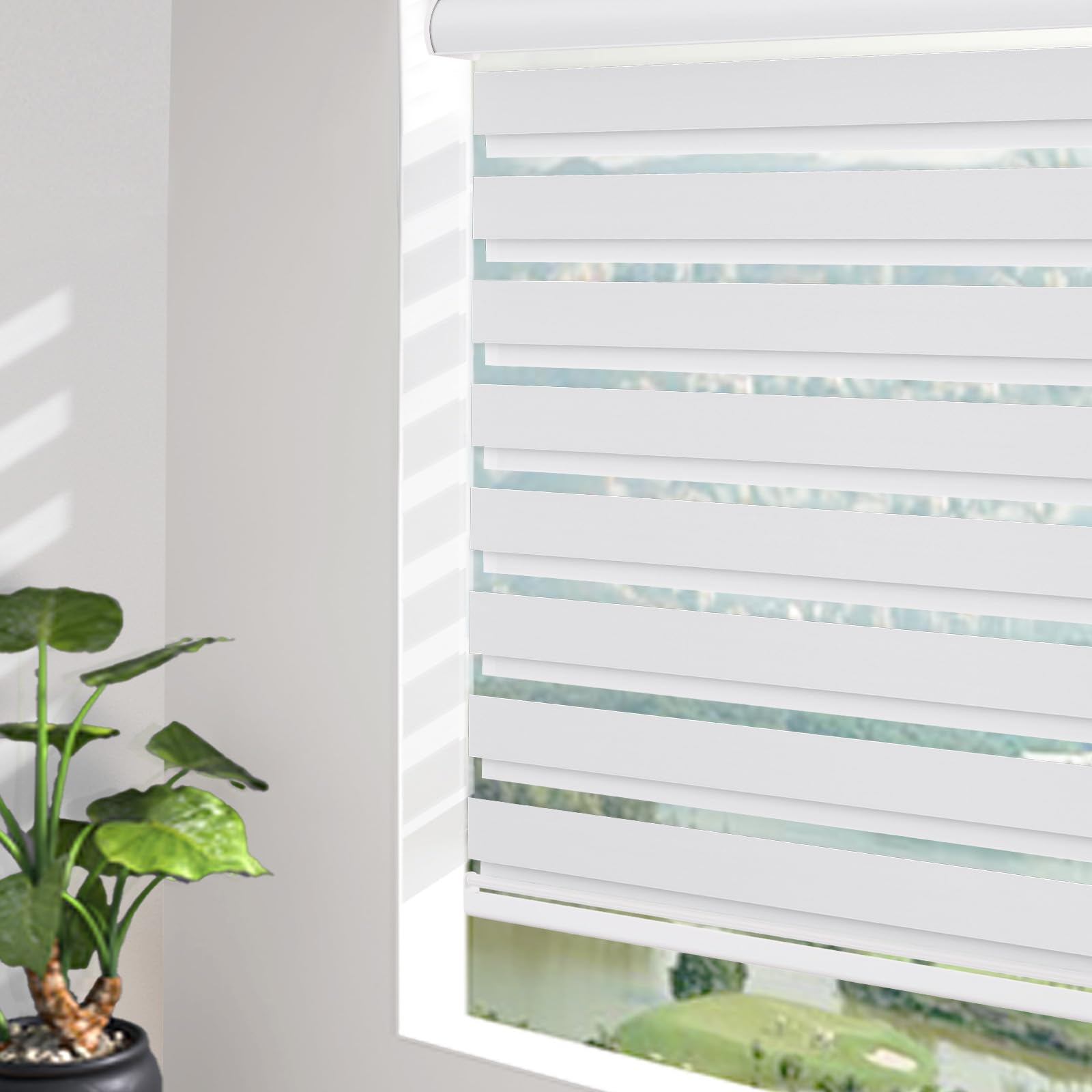 Cordless Zebra Blackout Roller Shades