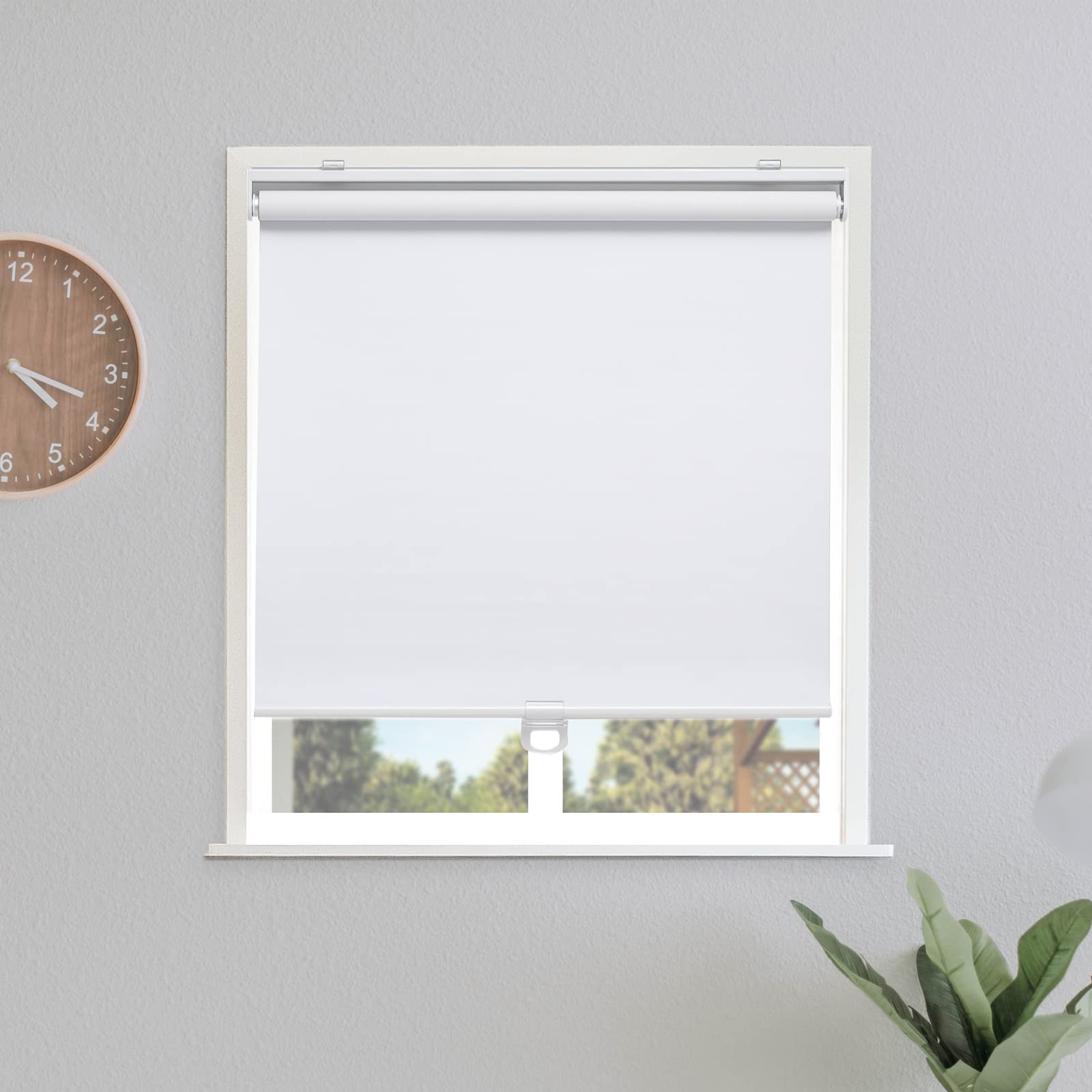 Blackout Roller Shades